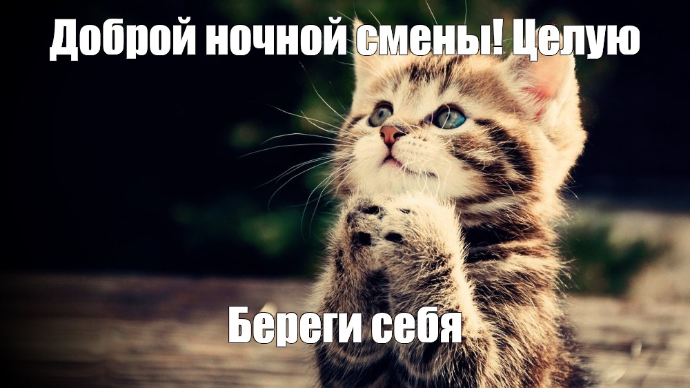 Прелести девушек на дают спокойно работать Прелести девушек на дают спокойно работать