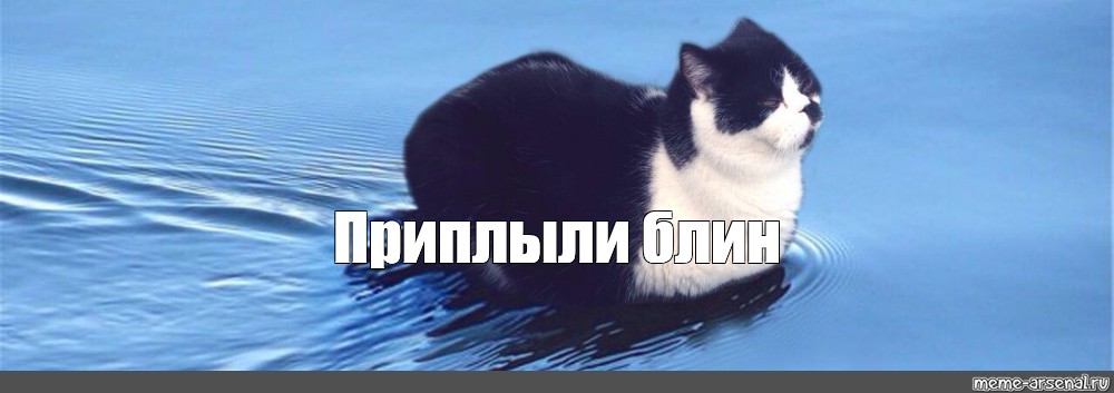 Жопа в речной воде плавает и подмигивает нам Жопа в речной воде плавает и подмигивает нам