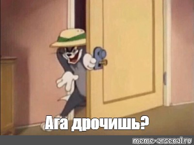 Кот Дрочит Мем Кот Дрочит Мем