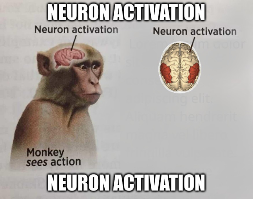 Create meme "neuron activation meme, monkey neuron activation, neuron ...
