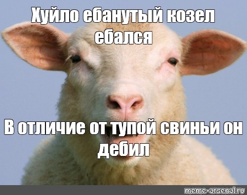 Ебло Тупое Ебло Тупое