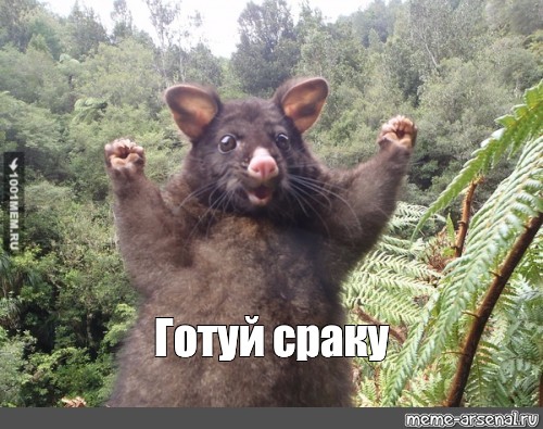 Такой гигантской сракой только маньяков пугать Такой гигантской сракой только маньяков пугать