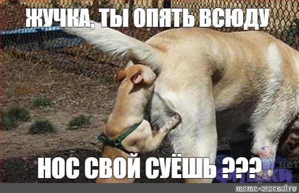 В брухлю уже пихать не интересно HD В брухлю уже пихать не интересно HD