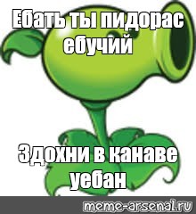 Ебло Мем