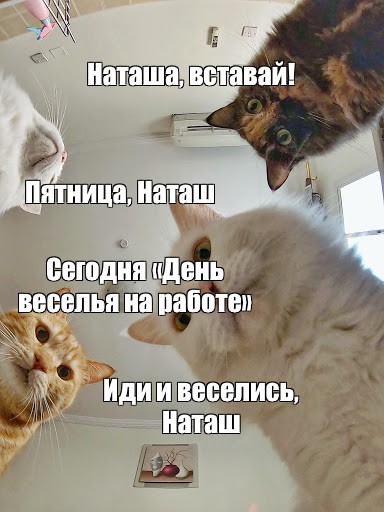 Наташа на улицах города - 77 фото
