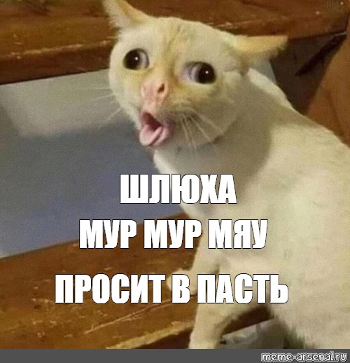 Скачать Меме Шлюха Скачать Меме Шлюха