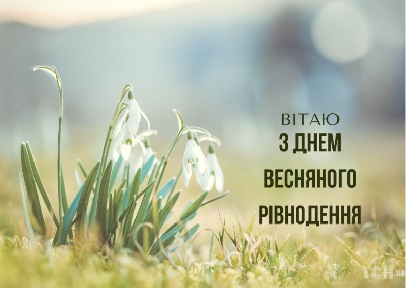 Beginning Of Spring Meme Create meme