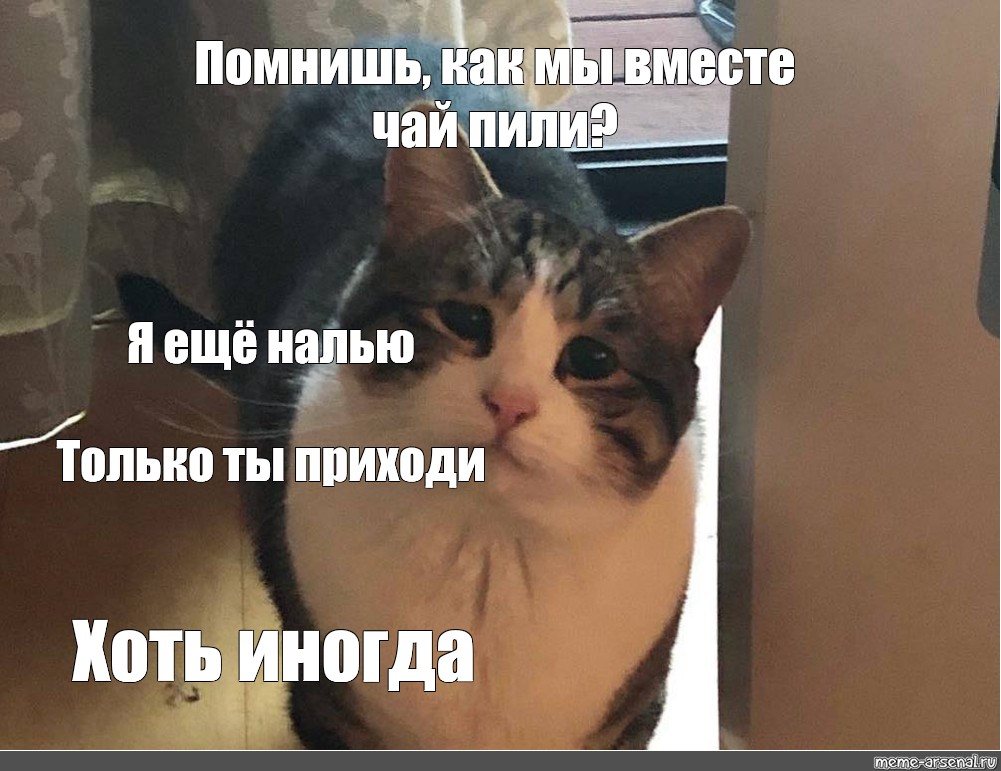 Если ты помешан на пухлых азиатках то ты заходи к нам Если ты помешан на пухлых азиатках то ты заходи к нам