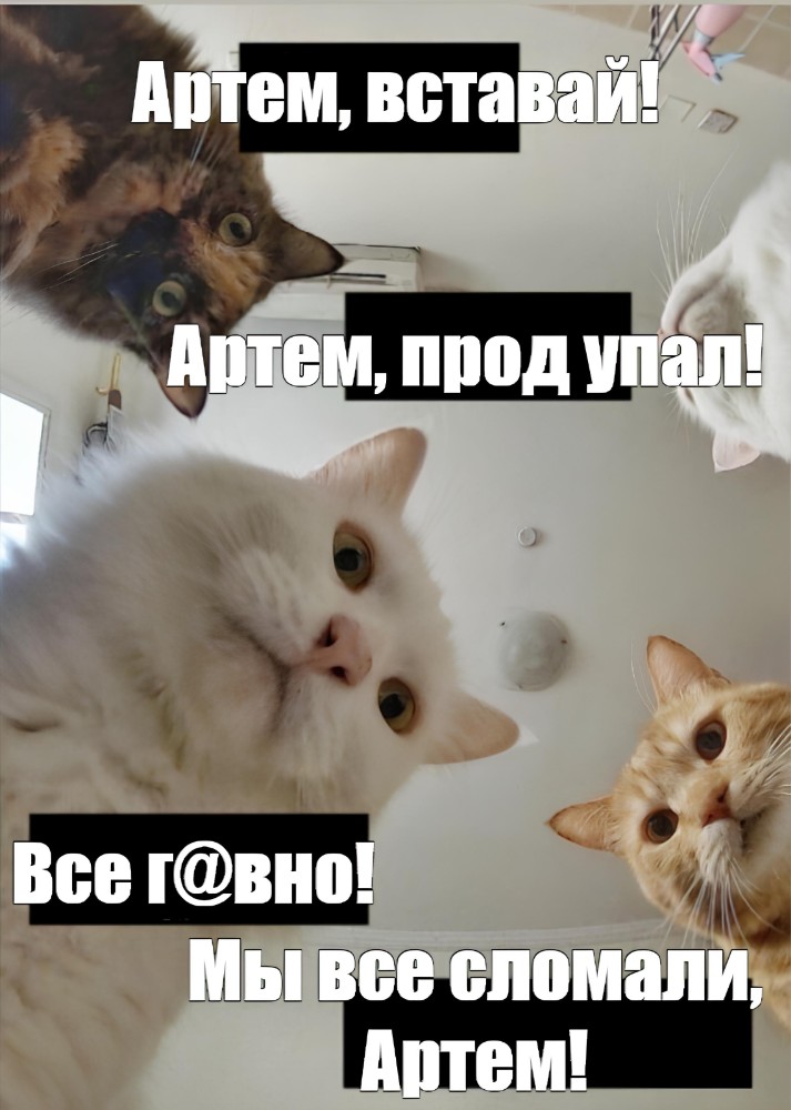 Артем захотел получить в жопу
