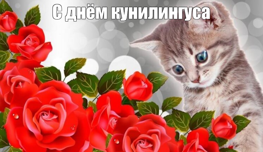 Про Куни Про Куни