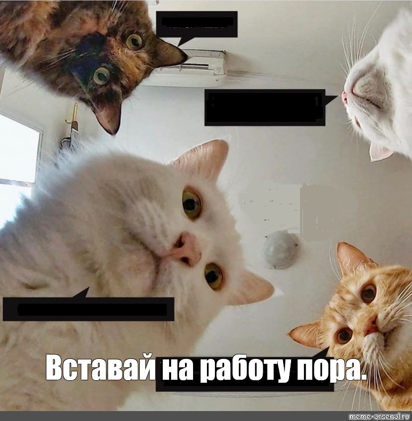 Отпустила на работу только с пустыми яйцами HD Отпустила на работу только с пустыми яйцами HD