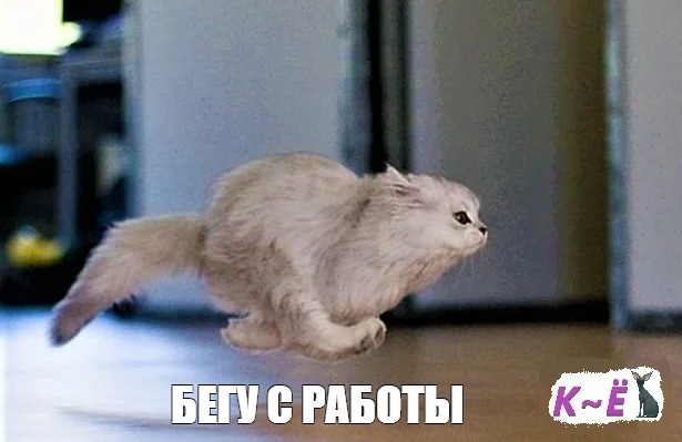 Торопилась с работы чтобы пошликать Торопилась с работы чтобы пошликать