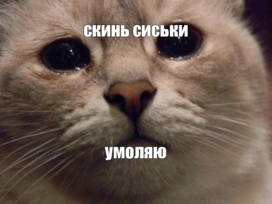 Мега грудь требует внимания 