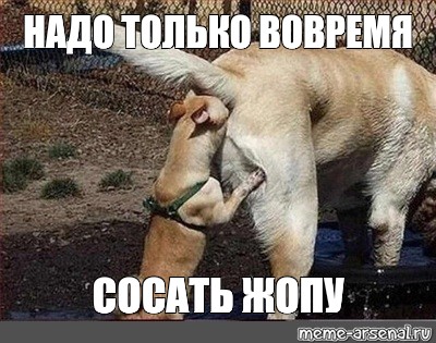 Давай пососи папочке Давай пососи папочке