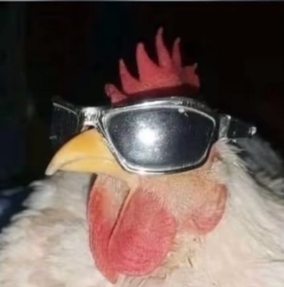 Create meme 