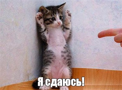 Создать мем "кошка, самые смешные картинки котят, сдаюсь прикольные  картинки" - Картинки - Meme-arsenal.com