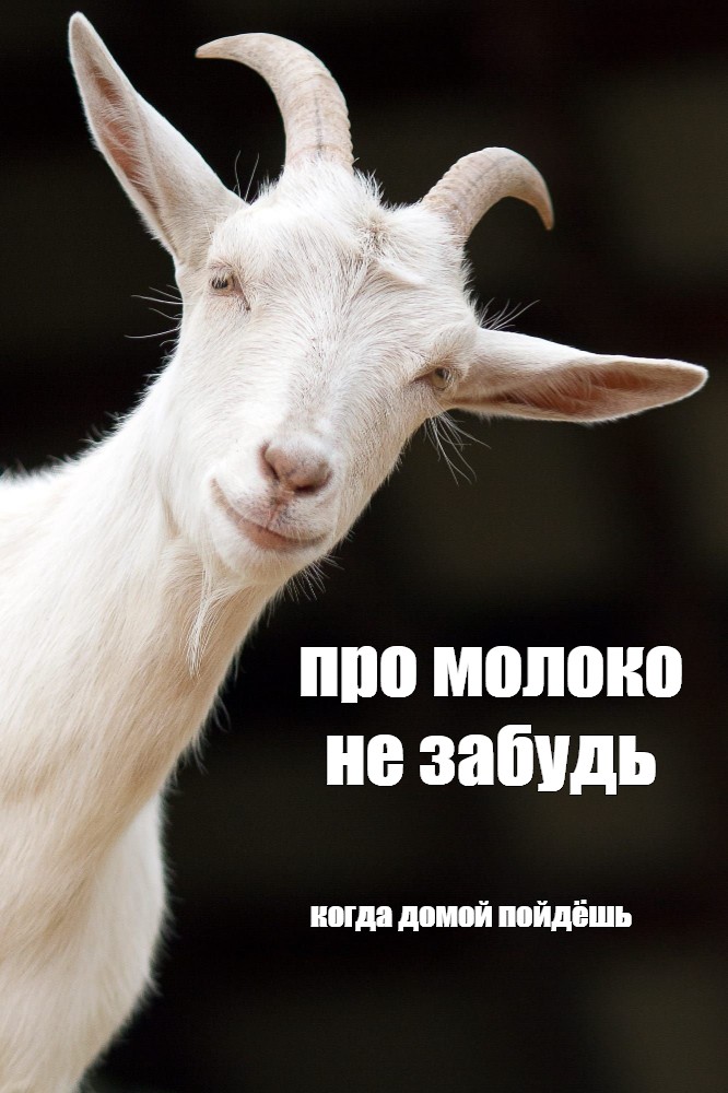 Заправилась молочком Заправилась молочком