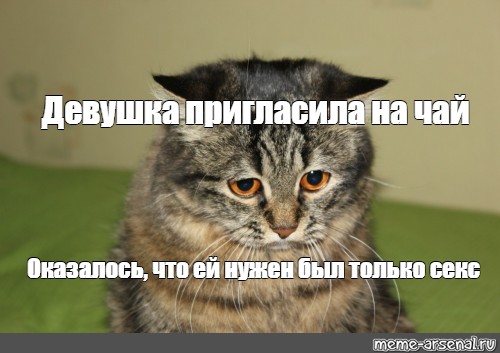 Толстая соседка позвала на палку чая мужчину Толстая соседка позвала на палку чая мужчину