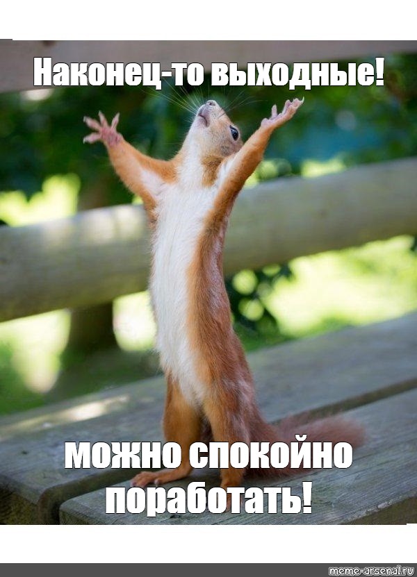 Как не выходной так новый парнишка в сетях Как не выходной так новый парнишка в сетях