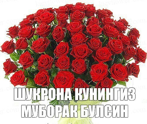 Тугилган Куни Муборак Тугилган Куни Муборак