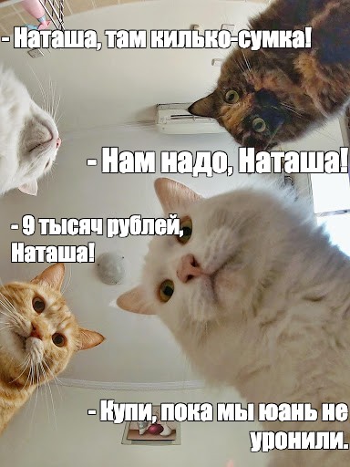 Наташа на улицах города - 77 фото