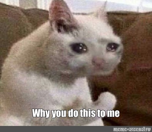 Meme: "Why you do this to me" - All Templates - Meme-arsenal.com