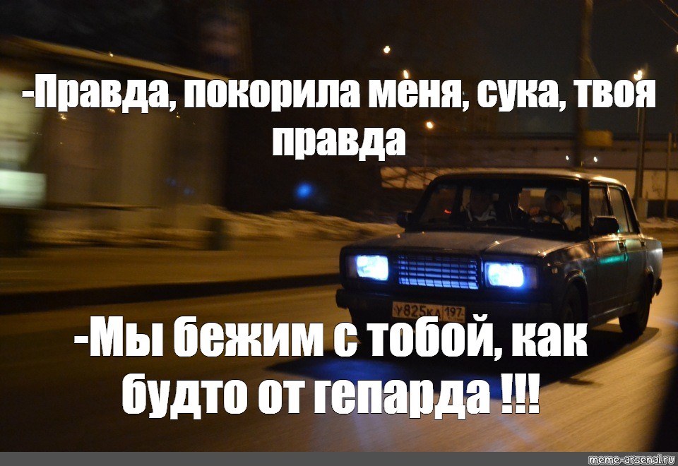 Сучка покорит всех Сучка покорит всех