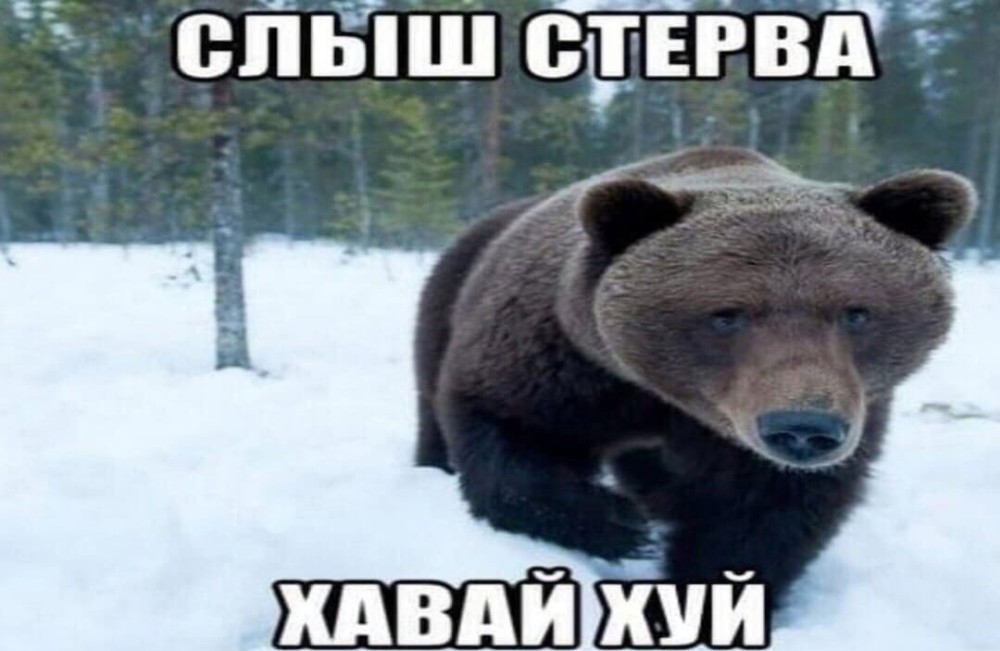 Скачать Меме Шлюха Скачать Меме Шлюха