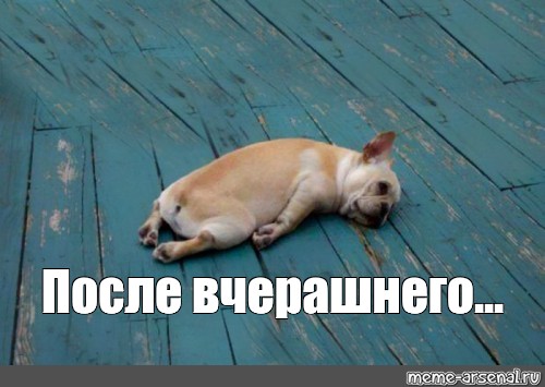 Опытная фифа расслабляется после ванной на диване