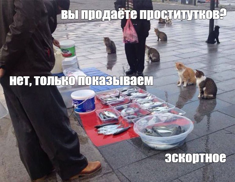 Мемы Про Путан Мемы Про Путан