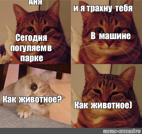 Да трахни уже хватит подглядывать Да трахни уже хватит подглядывать