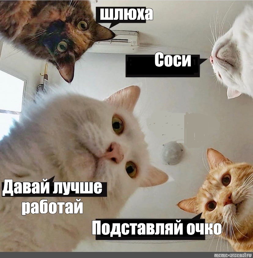 Скачать Меме Шлюха Скачать Меме Шлюха
