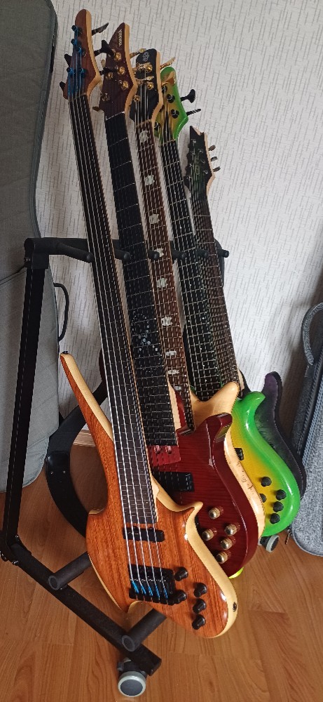 Create meme "electric bass guitar, 12-string bass guitar, 9 string bass ...