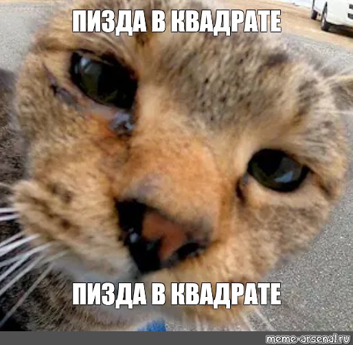 Пизда сносит мозг Пизда сносит мозг