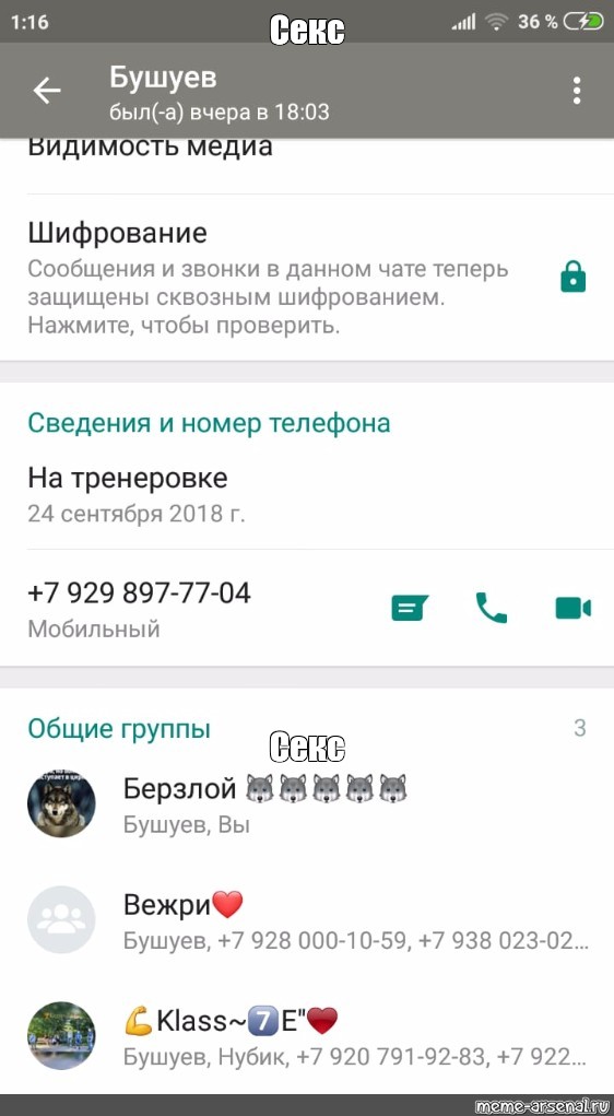 Секс Номера В Whatsapp Секс Номера В Whatsapp