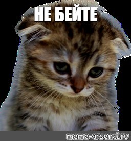 spacer.png