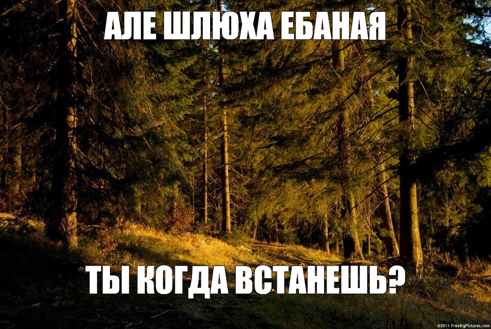 Потому Что Ты Шлюха Ебаная Потому Что Ты Шлюха Ебаная