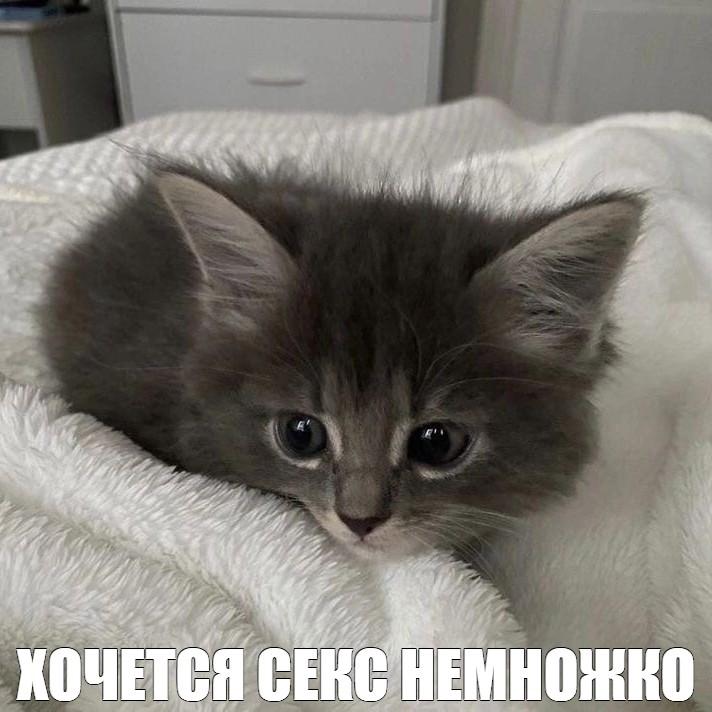 Хочу Секса Н
