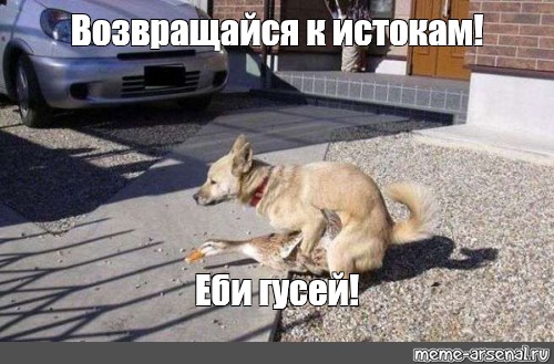 Ой Вы Гуси... – Эротические Сцены Ой Вы Гуси... – Эротические Сцены