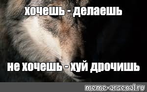 Кто Как Хочет Так И Дрочит