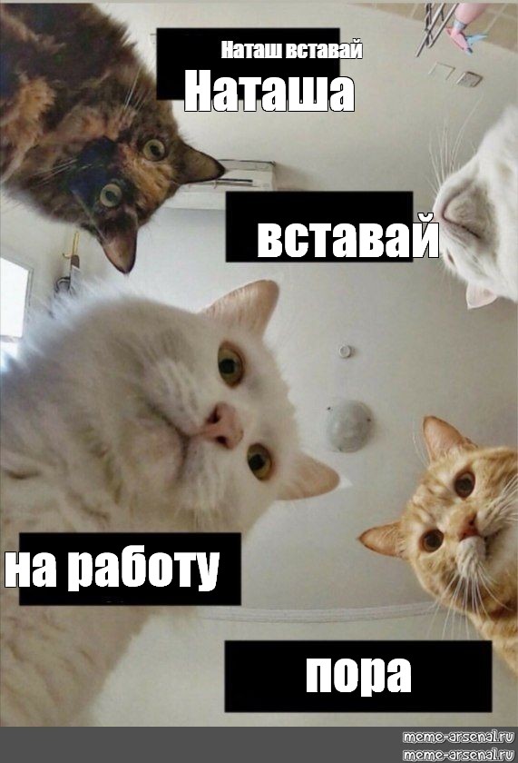 Наташа на улицах города - 77 фото