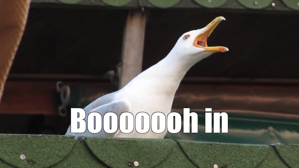 Meme: 