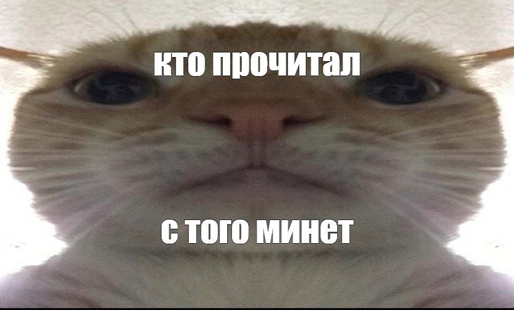 Если ты хочешь эту работу - надо отсосать