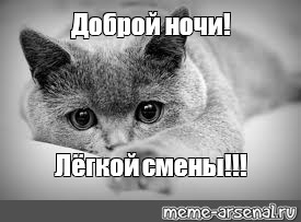 Прелести девушек на дают спокойно работать Прелести девушек на дают спокойно работать