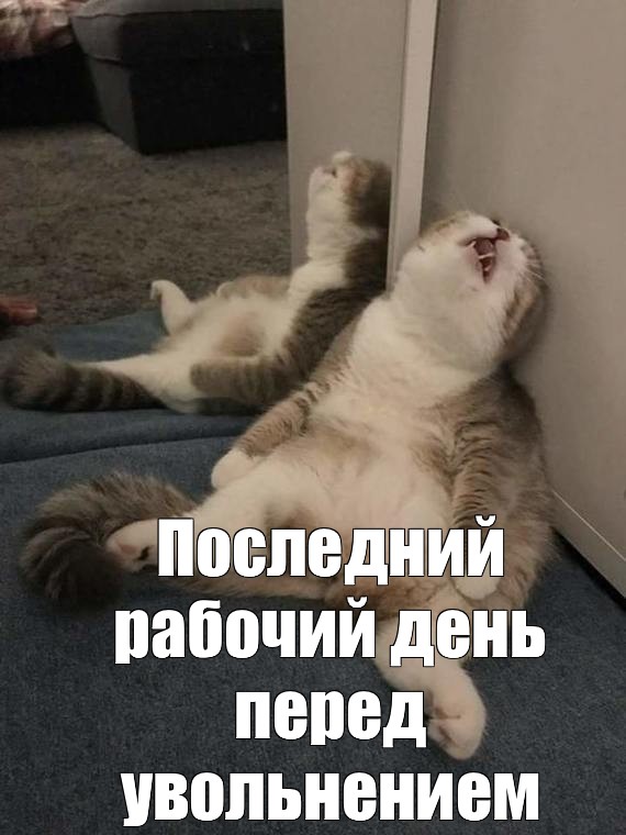 Торопилась с работы чтобы пошликать Торопилась с работы чтобы пошликать