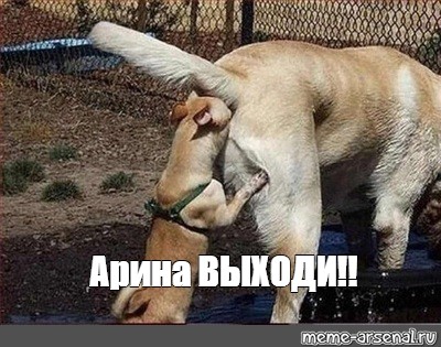 Сучка покорит всех Сучка покорит всех