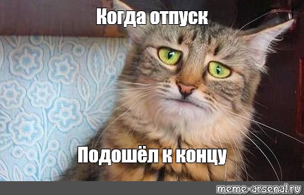 Идеальный вариант встречать отчима из отпуска