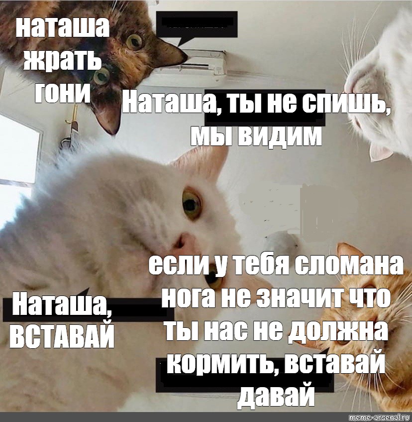 Пришла из магазина и разбудила лентяя Пришла из магазина и разбудила лентяя