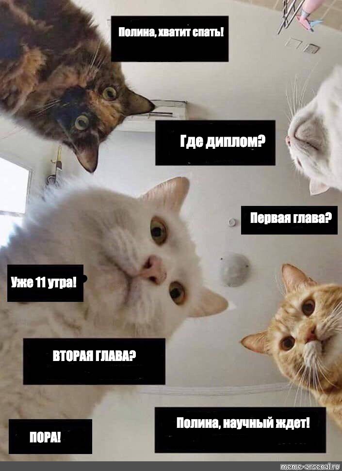 Лили ну хватит спать пора трахаться! Лили ну хватит спать пора трахаться!