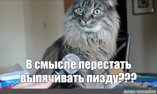 Пизда сносит мозг Пизда сносит мозг